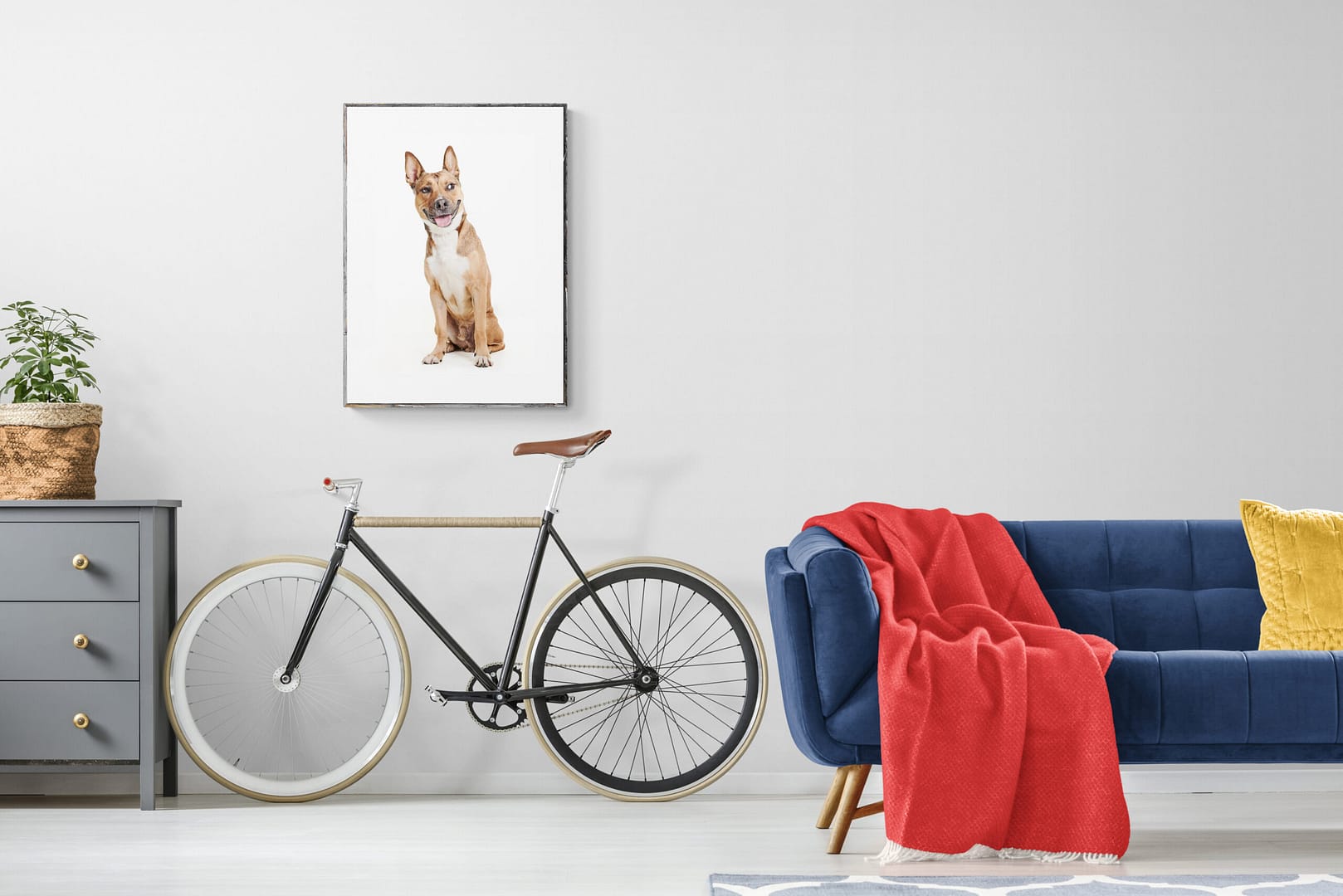 photo signée et numérotée d'un chien