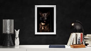 photo signée et numérotée d'un chien