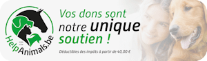 Faire un don à Help Animals