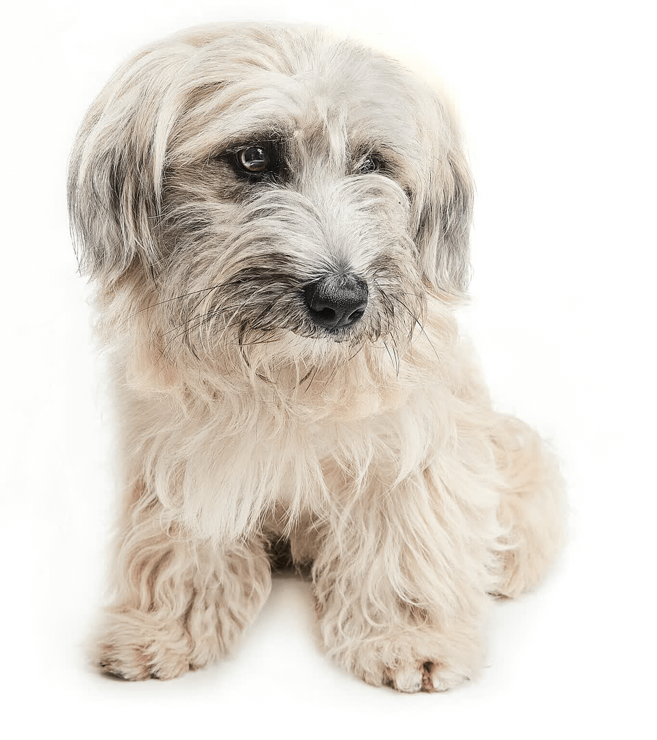 Contact photographier animalier