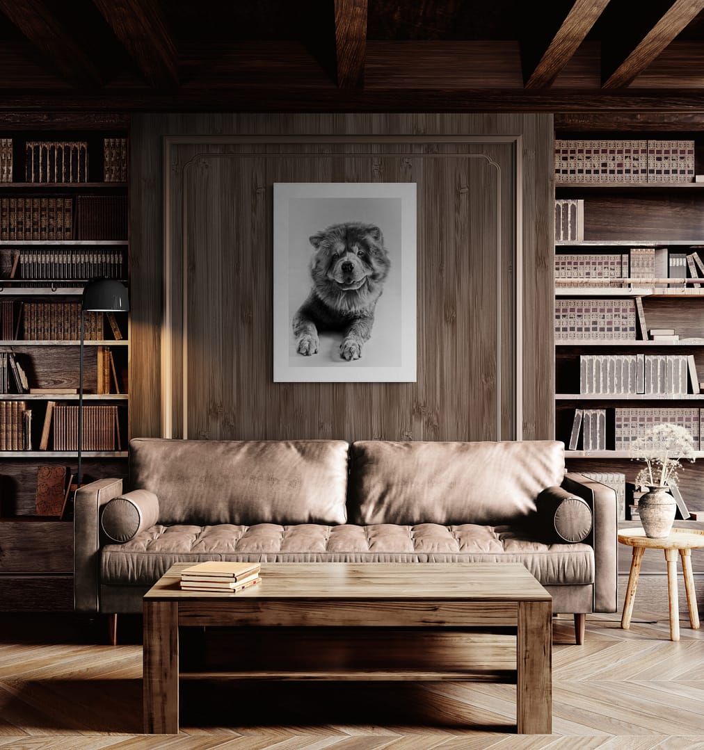 photo signée et numérotée d'un chien