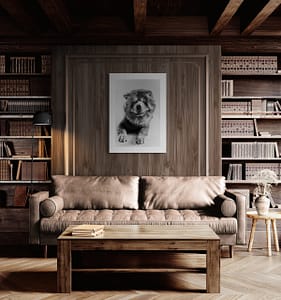 photo signée et numérotée d'un chien