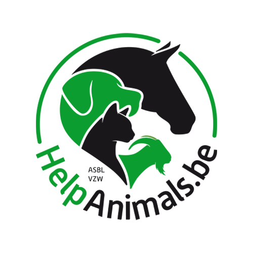 Logo help Animals