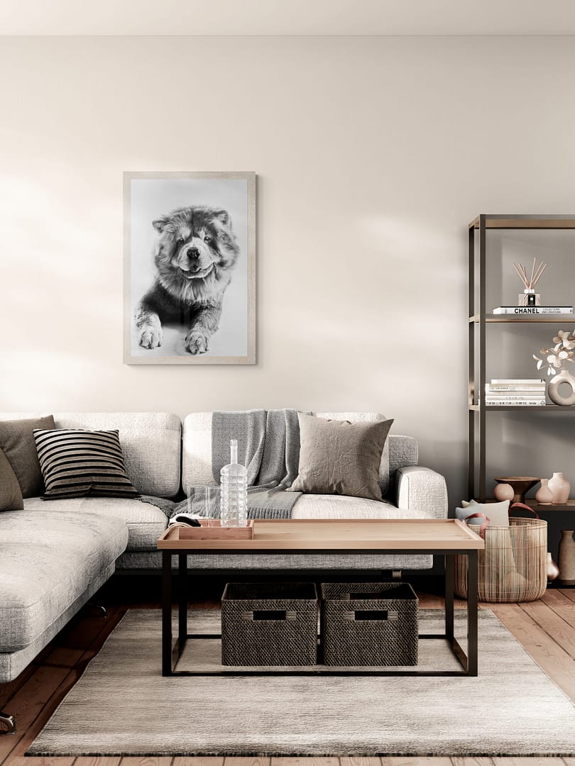 Œuvre originale en format A2, photographie animalière haut de gamme