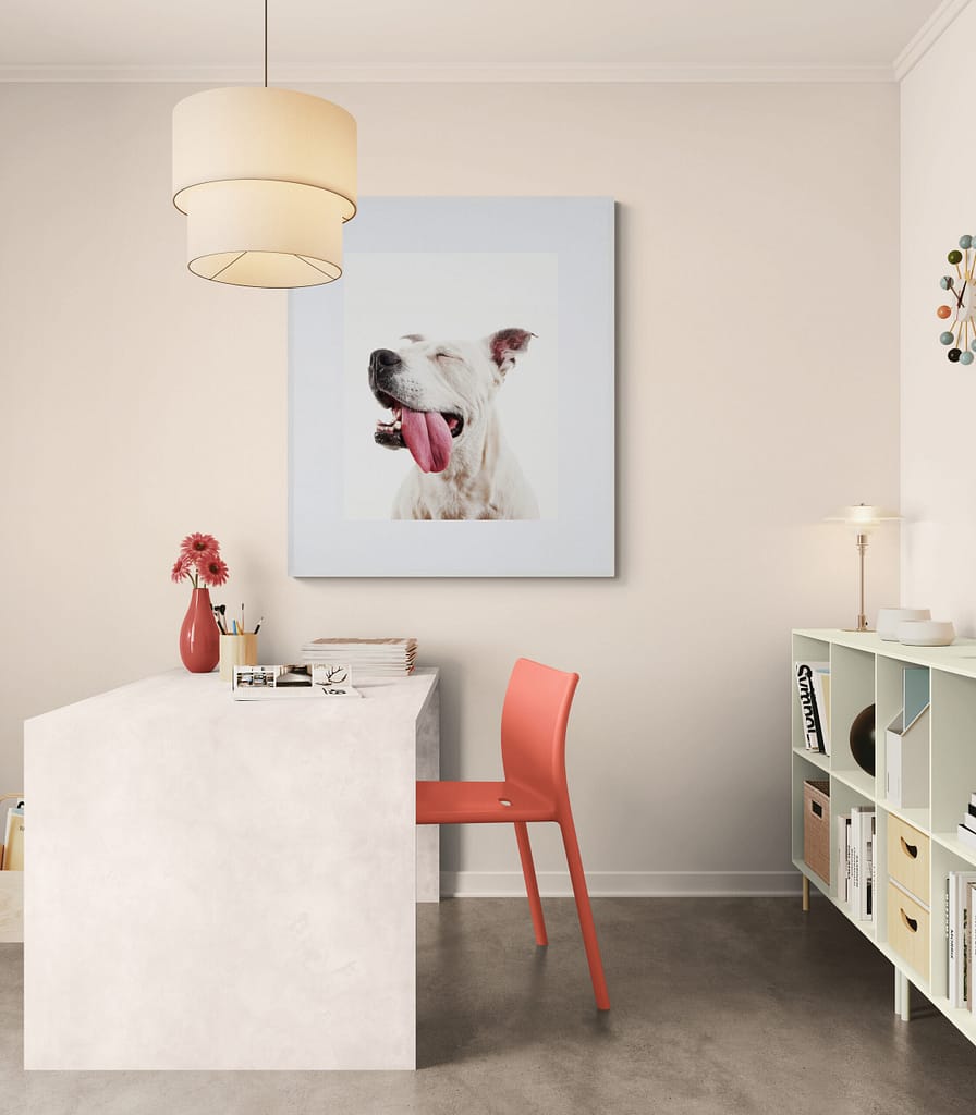 exemple de tirage encadré, portrait animalier signé Geoffrey Hanon